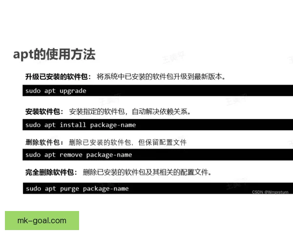 MK体育官网全面解析与最新动态资讯全攻略指南