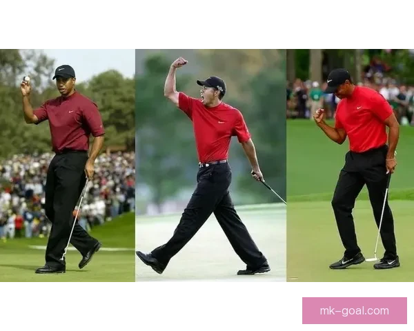 刹不住的泰格·伍兹与口袋里两粒神秘药丸的故事揭秘